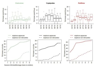 Analyse de données d'inventaire (RNN lac de Remoray, 2016)