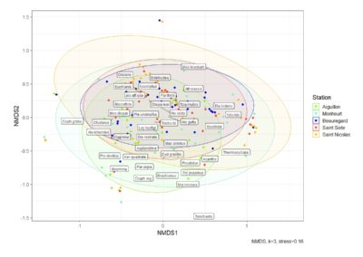 Comparaison et description de communautés de zooplancton